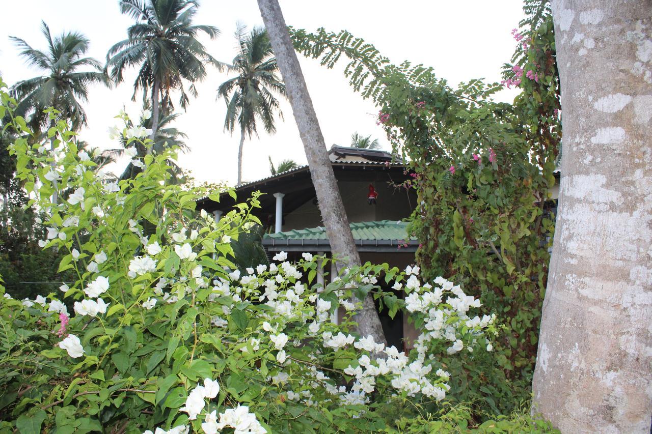 All View Resort แทนกาลเล ภายนอก รูปภาพ