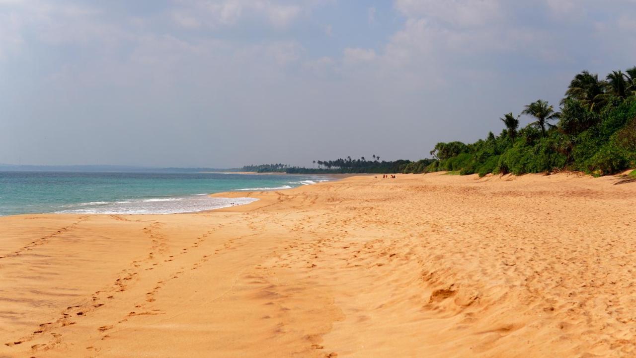 All View Resort แทนกาลเล ภายนอก รูปภาพ